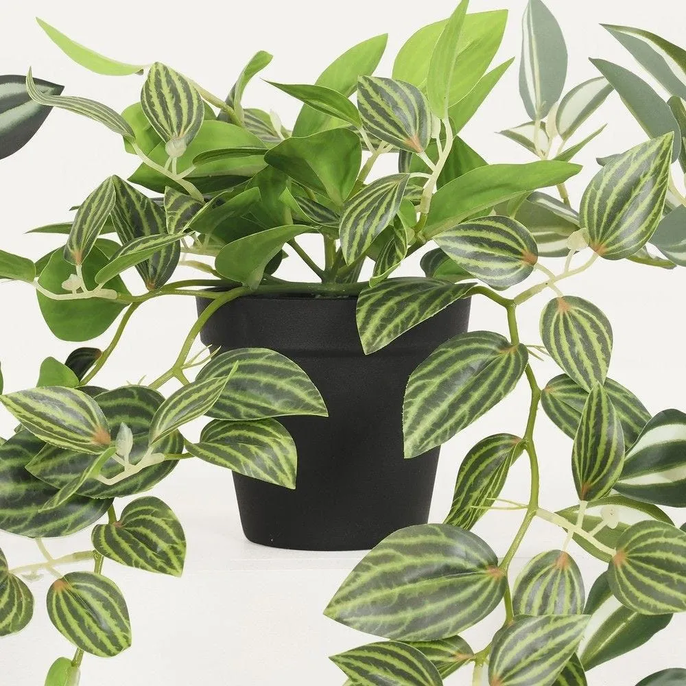 Lot de 3 plantes vertes artificielles retombantes, 50cm